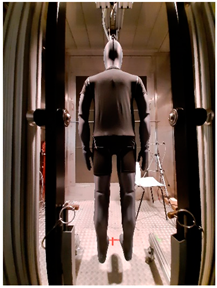 Materials 19 00124 i004