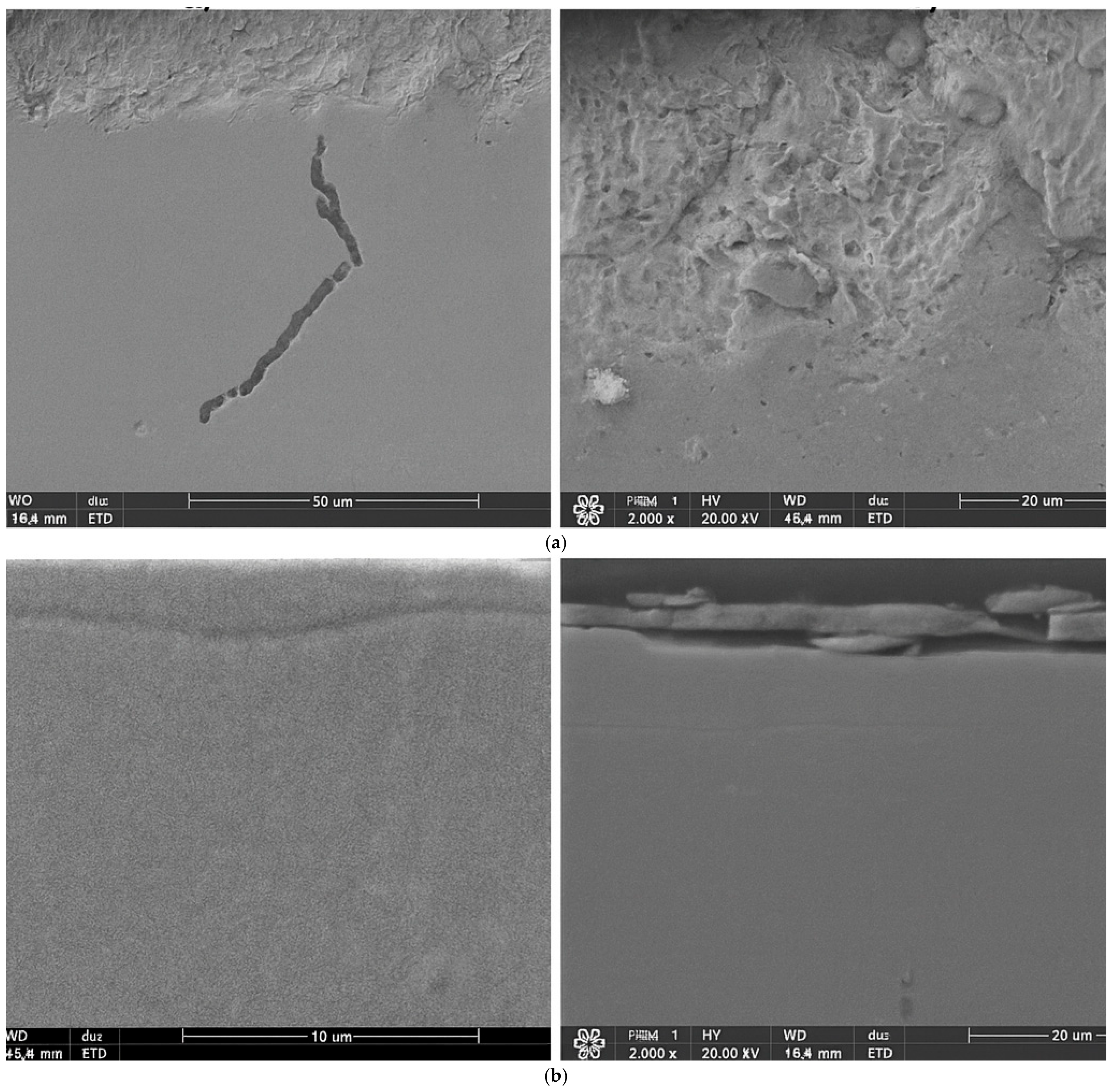 Materials 19 00130 g003a Materials 19 00130 g003a