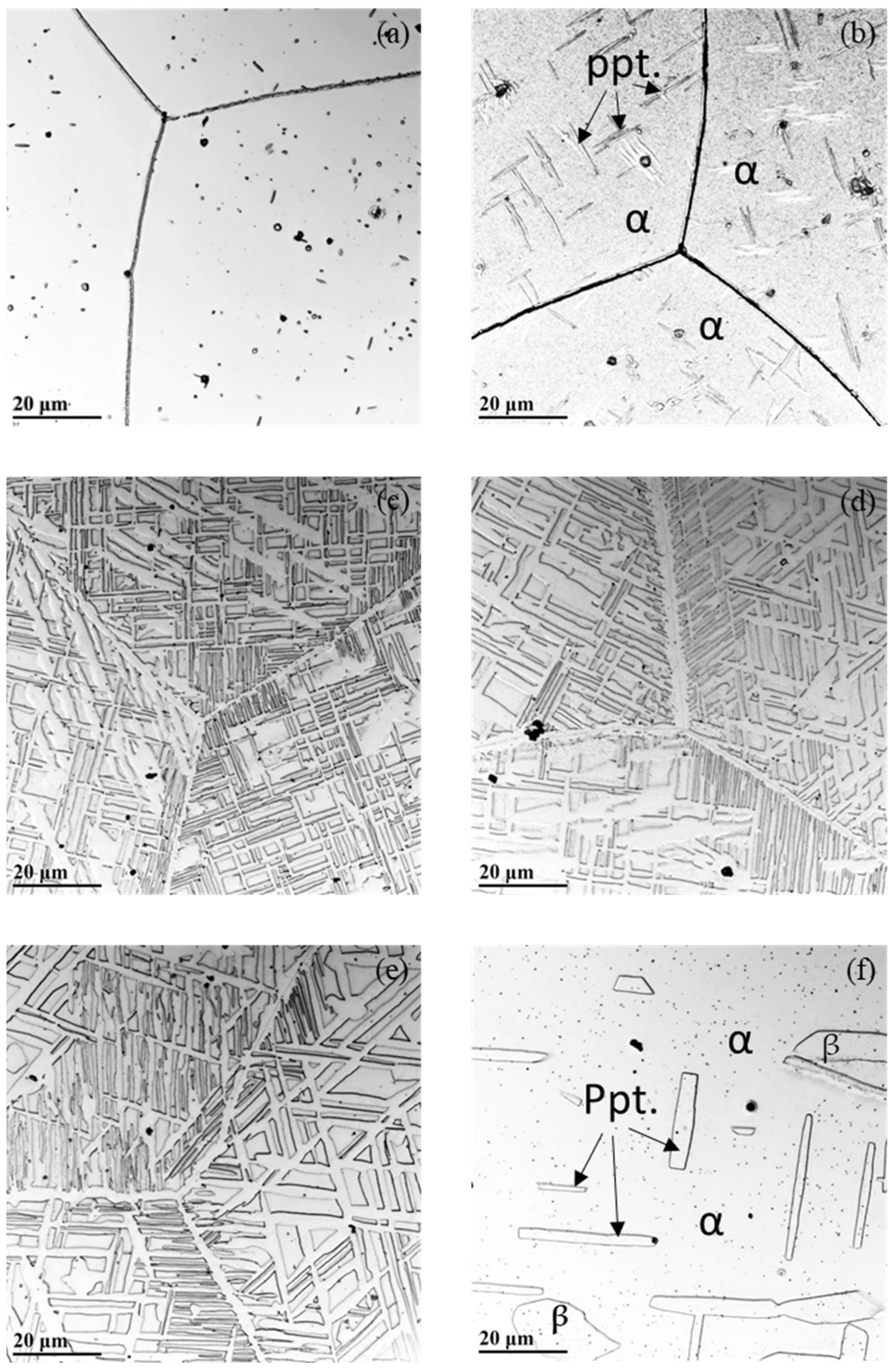 Materials 19 00133 g002 Materials 19 00133 g002