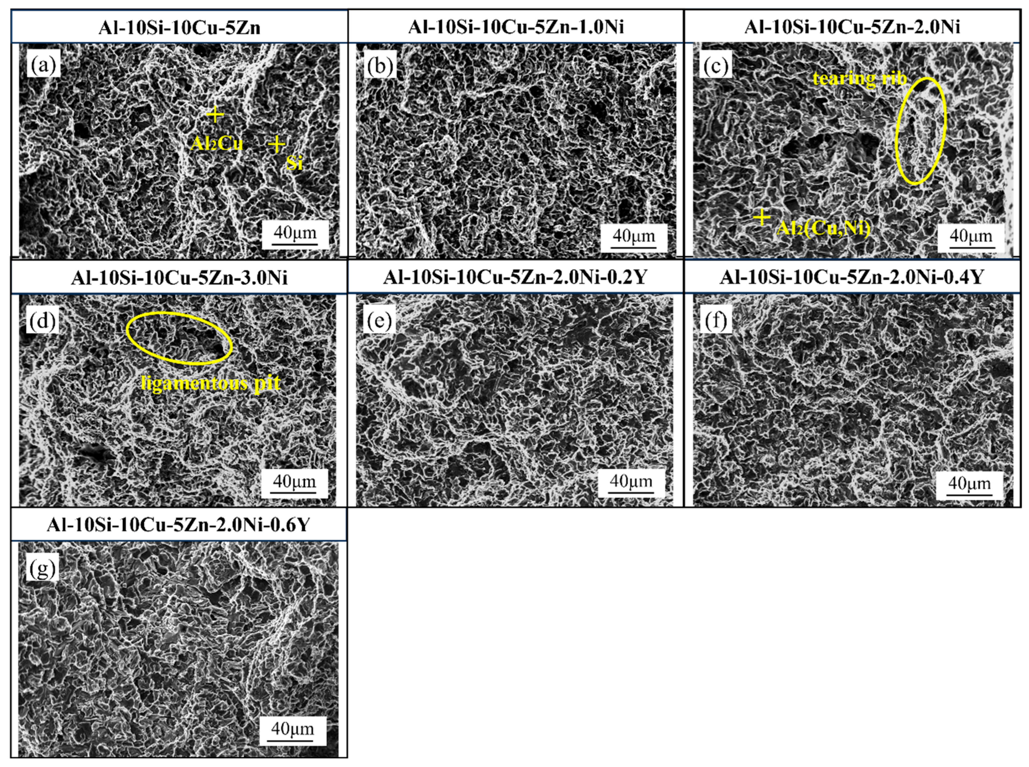 Materials 19 00138 g014 Materials 19 00138 g014