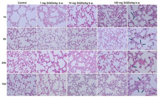 Materials 19 00141 g002