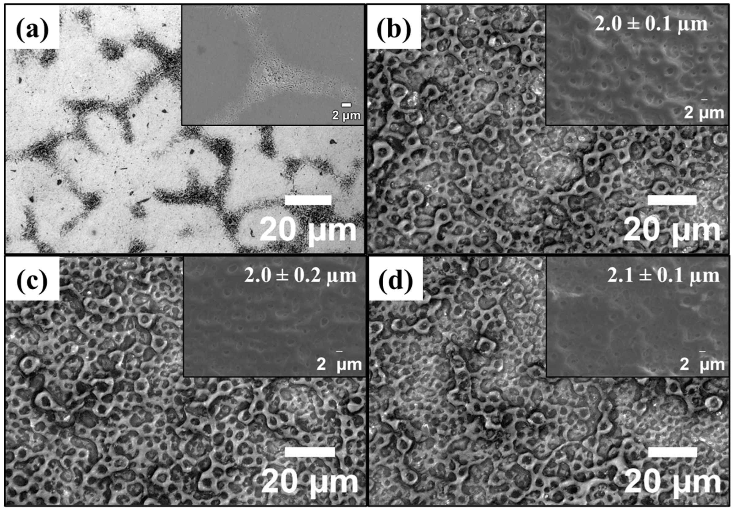 Materials 19 00174 g002 Materials 19 00174 g002