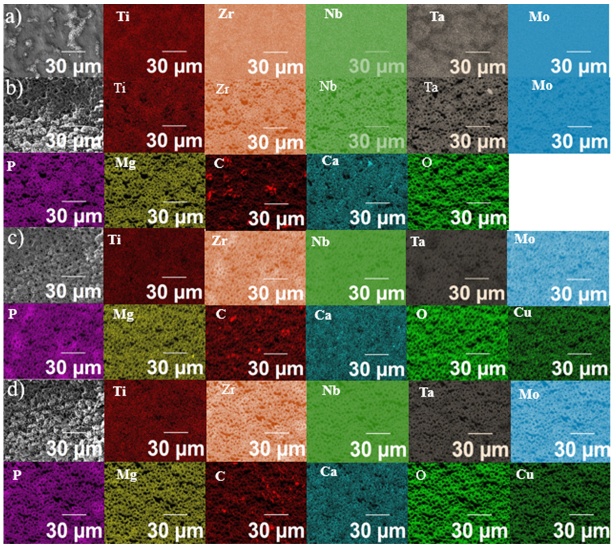 Materials 19 00174 g004 Materials 19 00174 g004