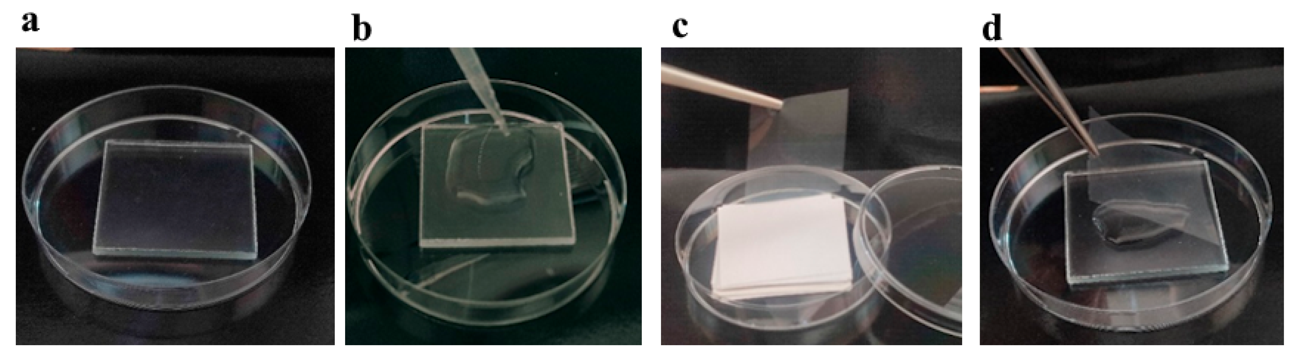 Materials 19 00175 g002