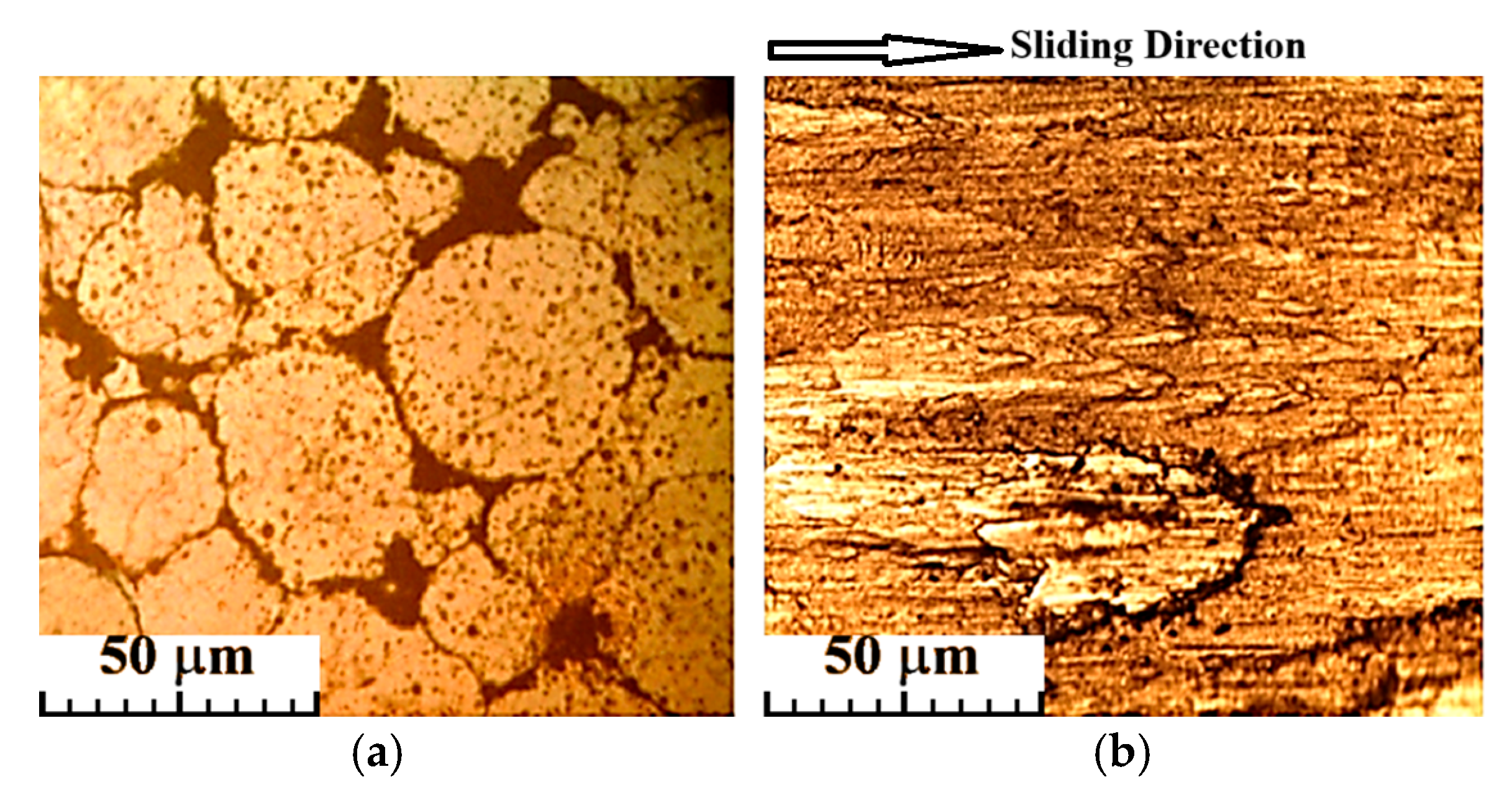 Materials 19 00186 g013 Materials 19 00186 g013