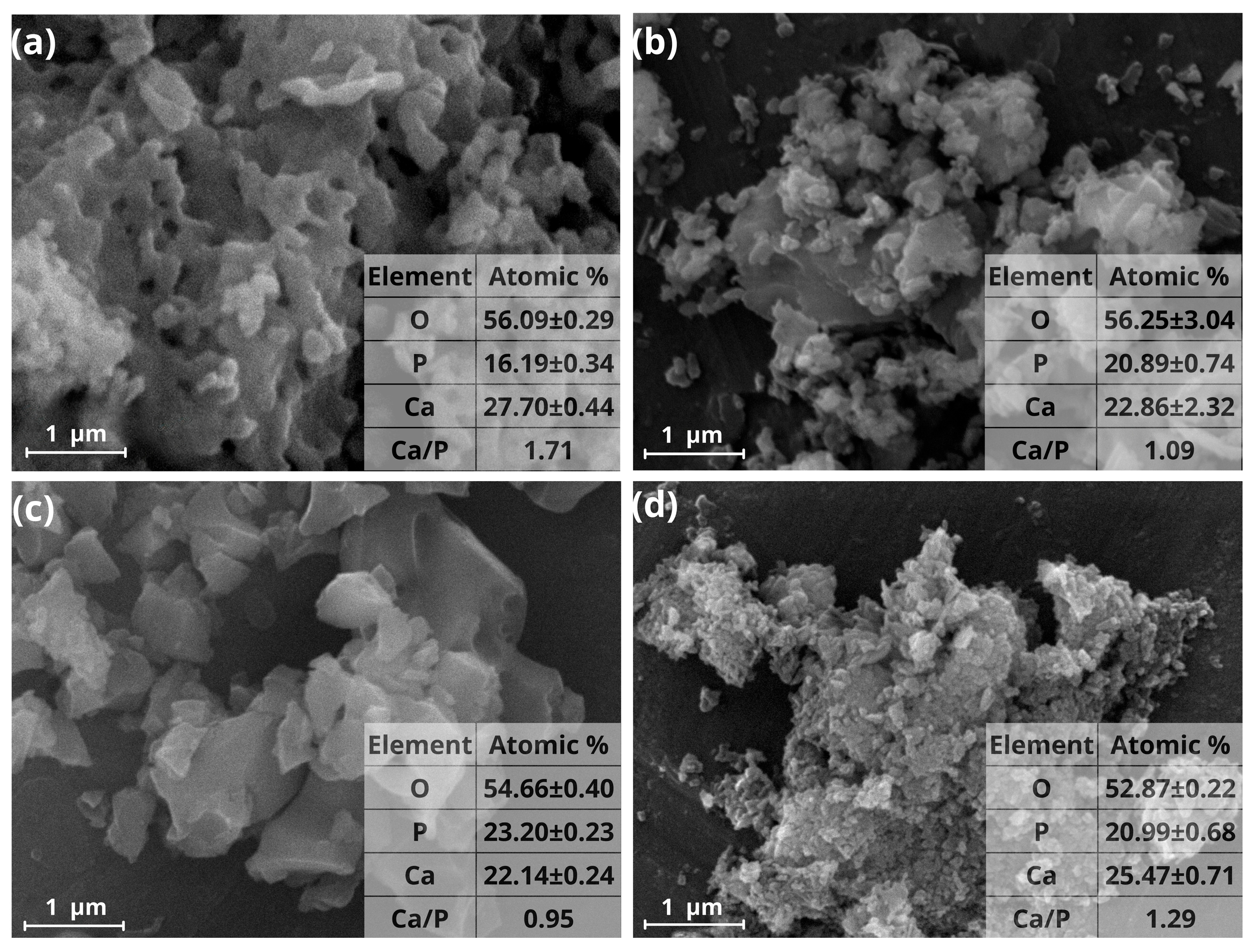 Materials 19 00223 g001 Materials 19 00223 g001