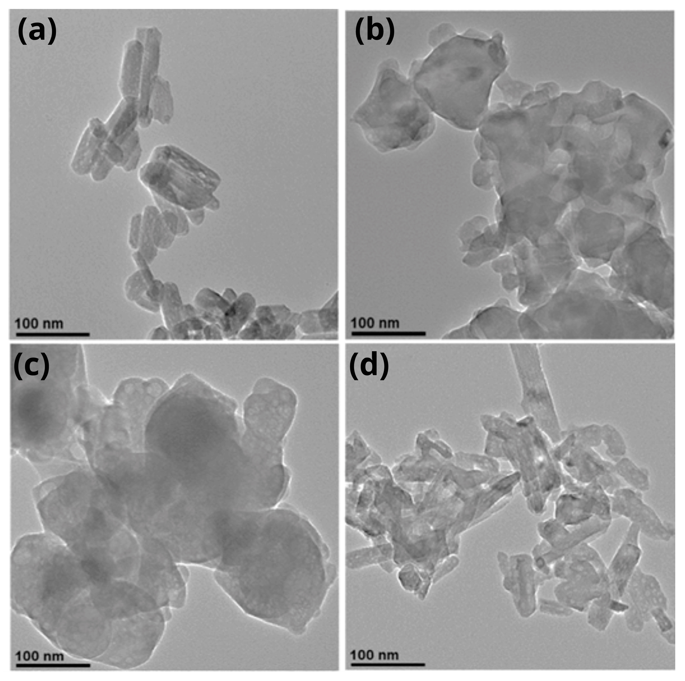 Materials 19 00223 g004 Materials 19 00223 g004