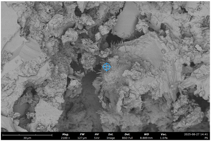 Materials 19 00237 i001