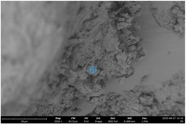 Materials 19 00237 i002