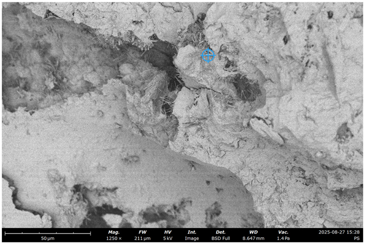 Materials 19 00237 i004