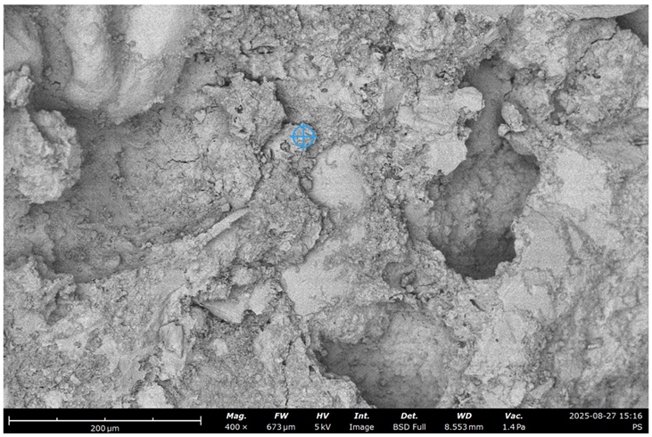 Materials 19 00237 i005