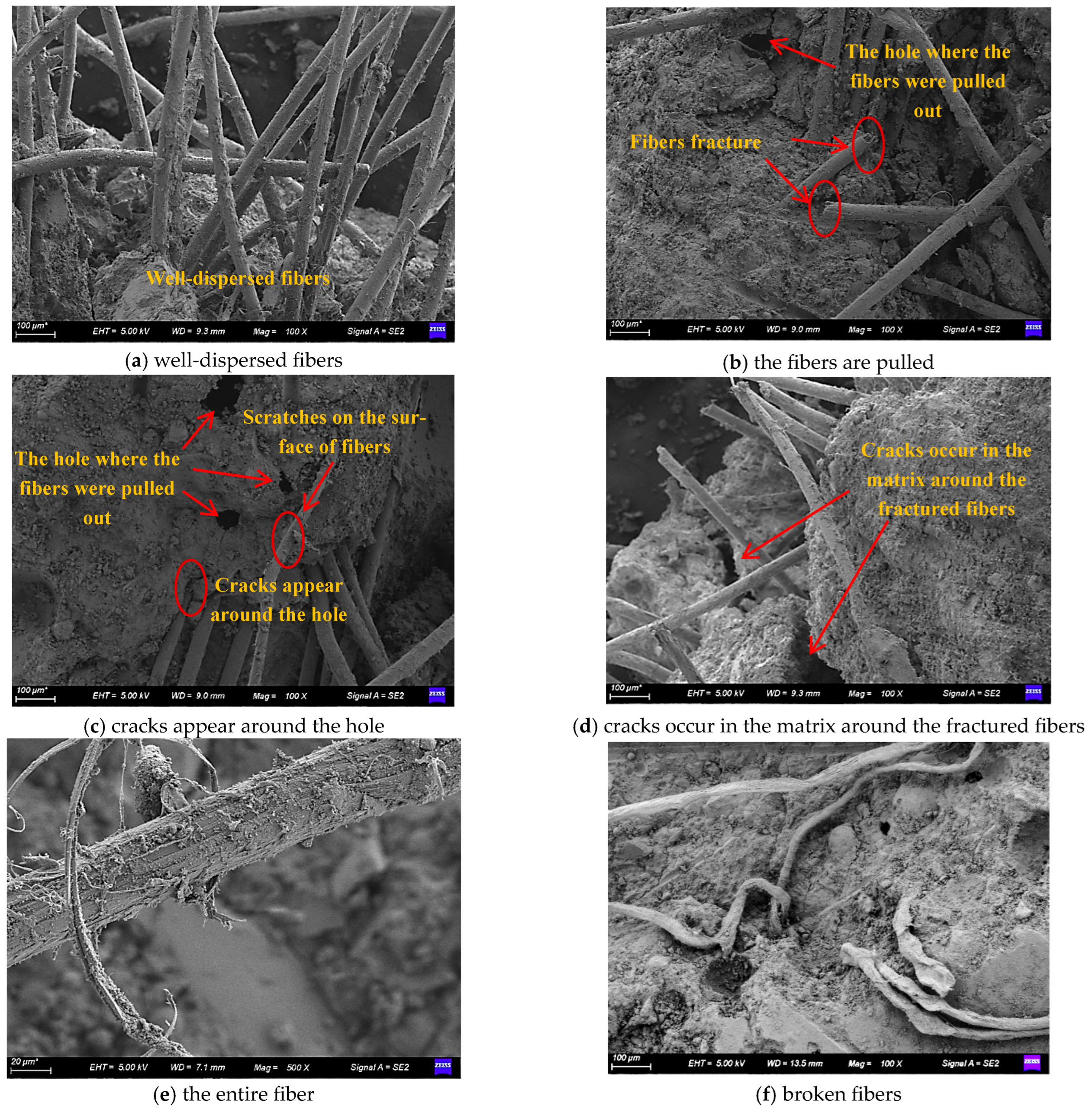Materials 19 00296 g014 Materials 19 00296 g014