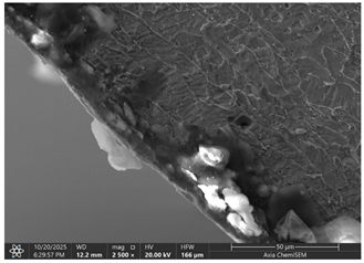 Materials 19 00312 i001 Materials 19 00312 i001