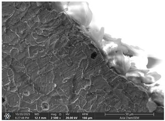 Materials 19 00312 i002 Materials 19 00312 i002