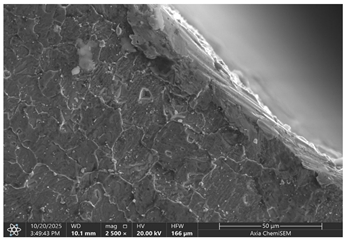 Materials 19 00312 i008 Materials 19 00312 i008