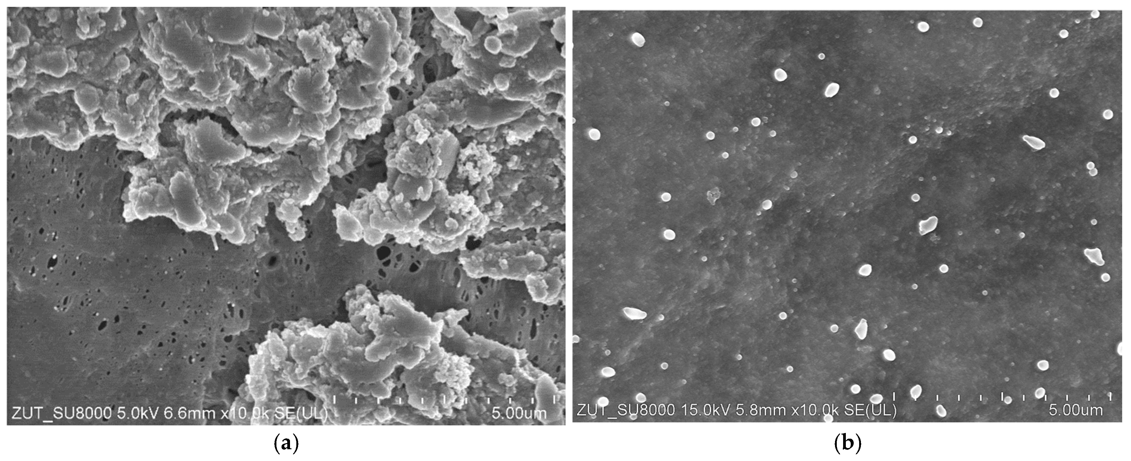 Materials 19 00324 g002