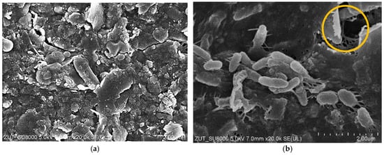 Materials 19 00324 g0a2