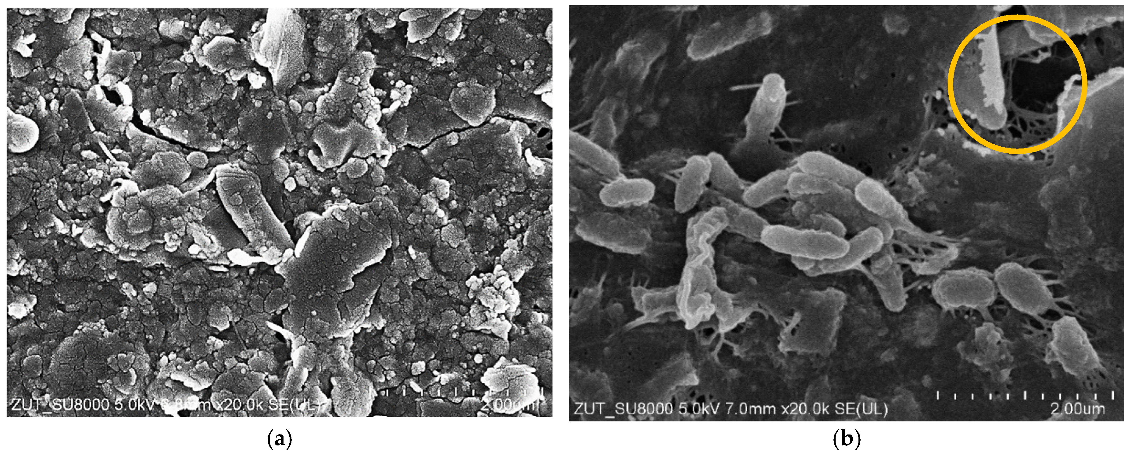 Materials 19 00324 g0a2