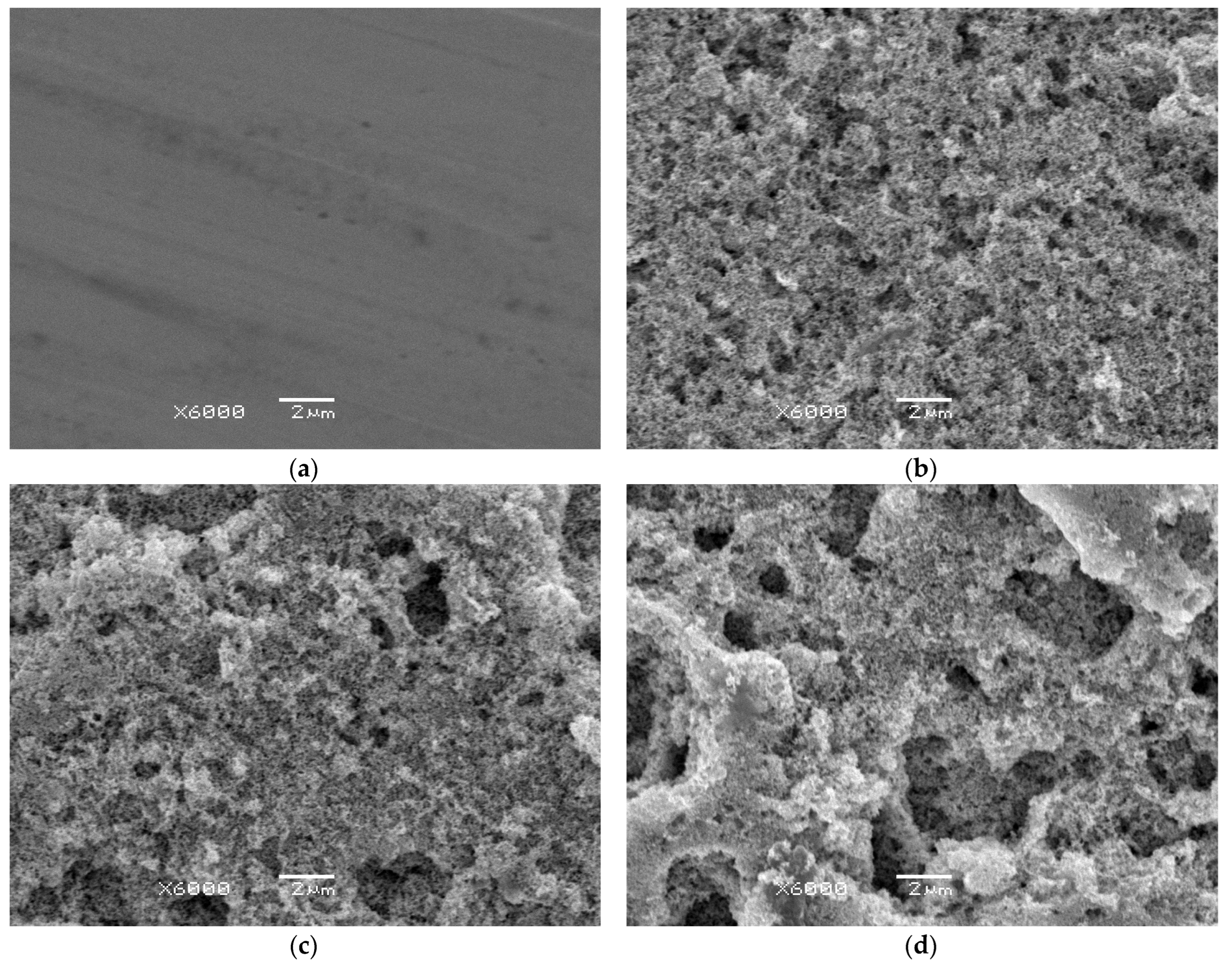 Materials 19 00335 g001 Materials 19 00335 g001