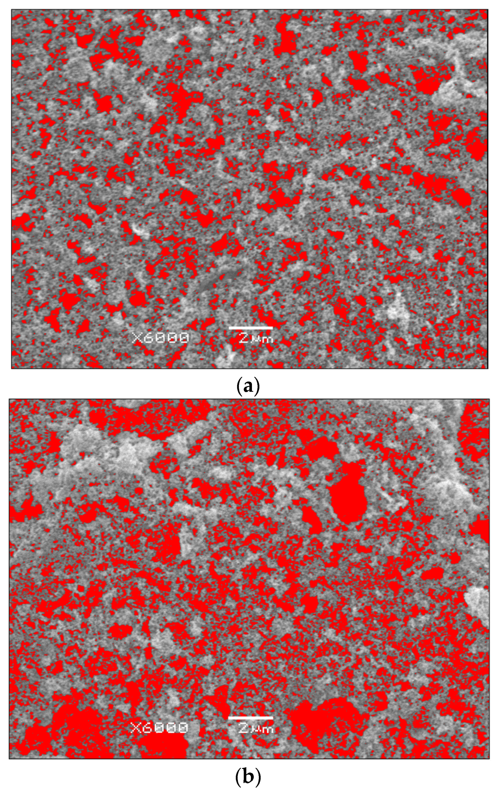 Materials 19 00335 g003a Materials 19 00335 g003a