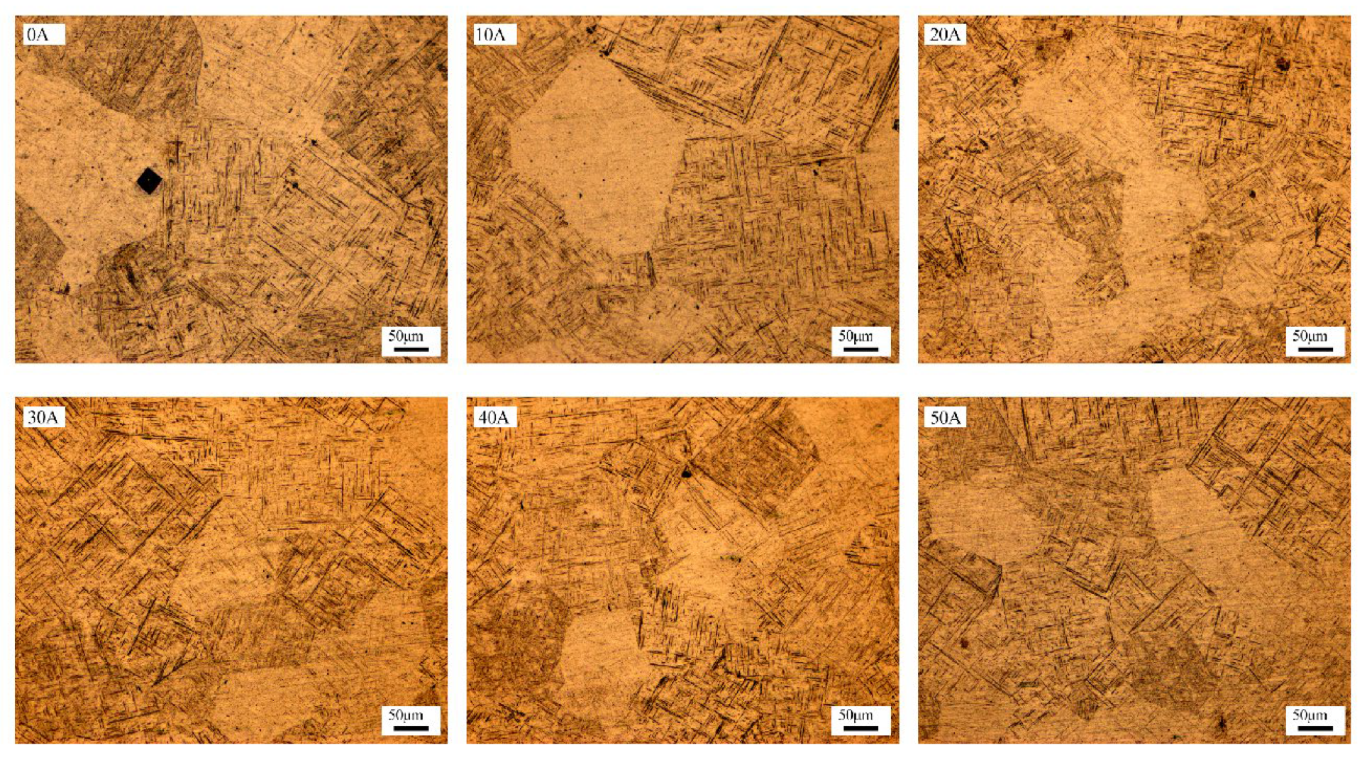 Materials 19 00337 g007 Materials 19 00337 g007