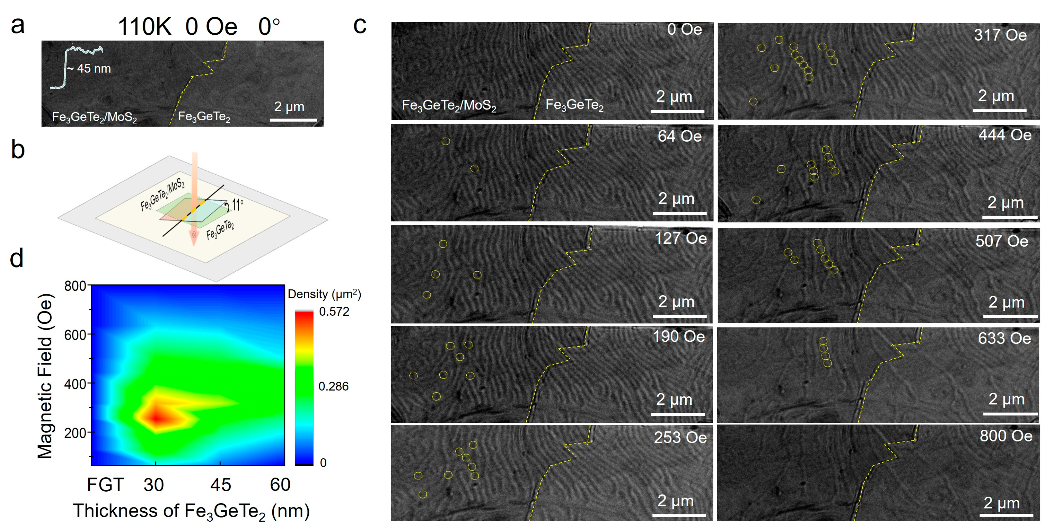 Materials 19 00340 g002