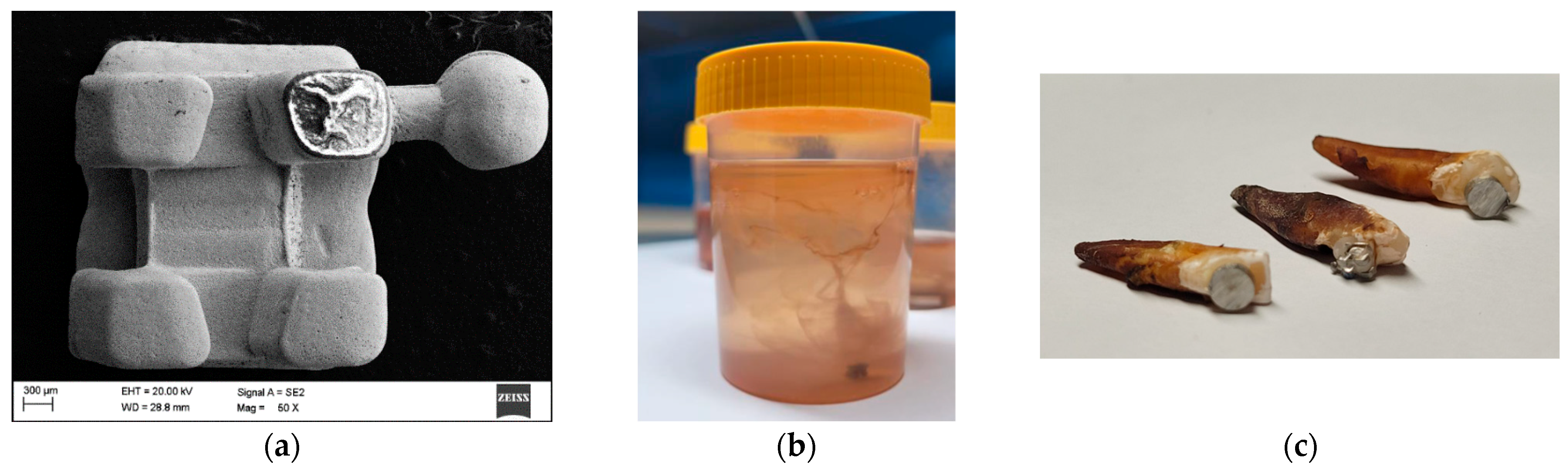 Materials 19 00400 g001 Materials 19 00400 g001
