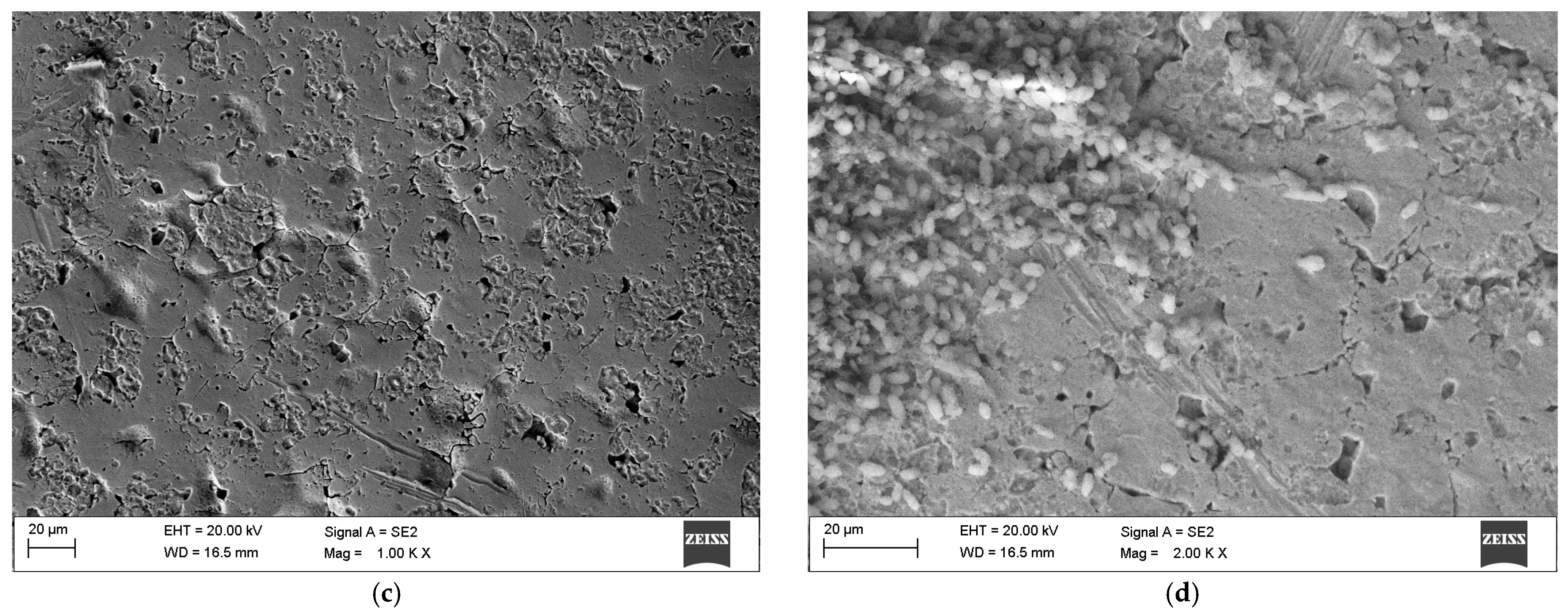 Materials 19 00400 g003b Materials 19 00400 g003b