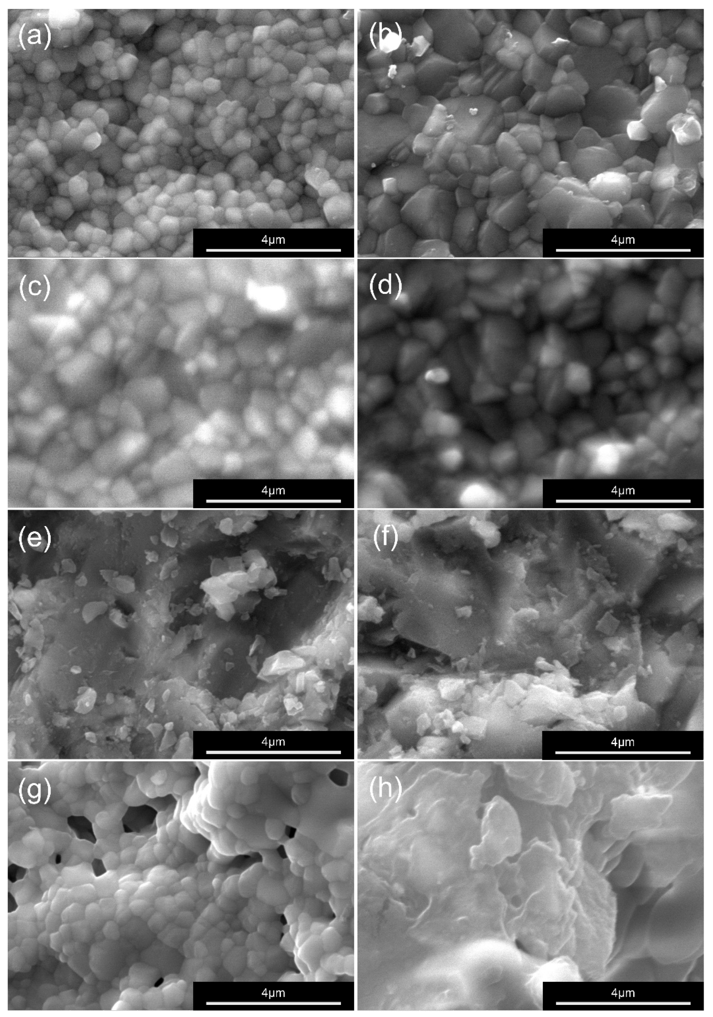 Materials 19 00410 g006 Materials 19 00410 g006