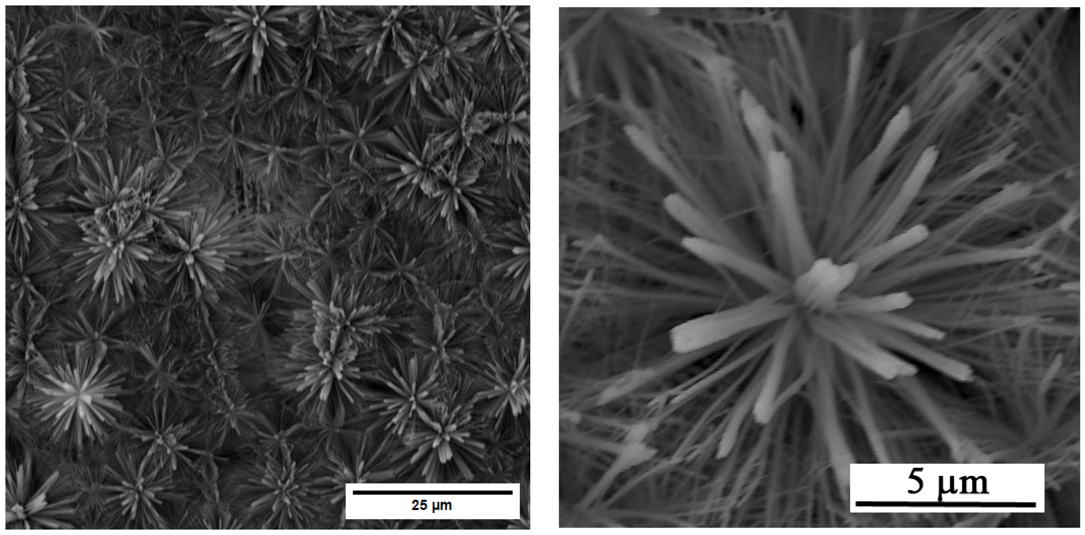 Materials 19 00416 g001