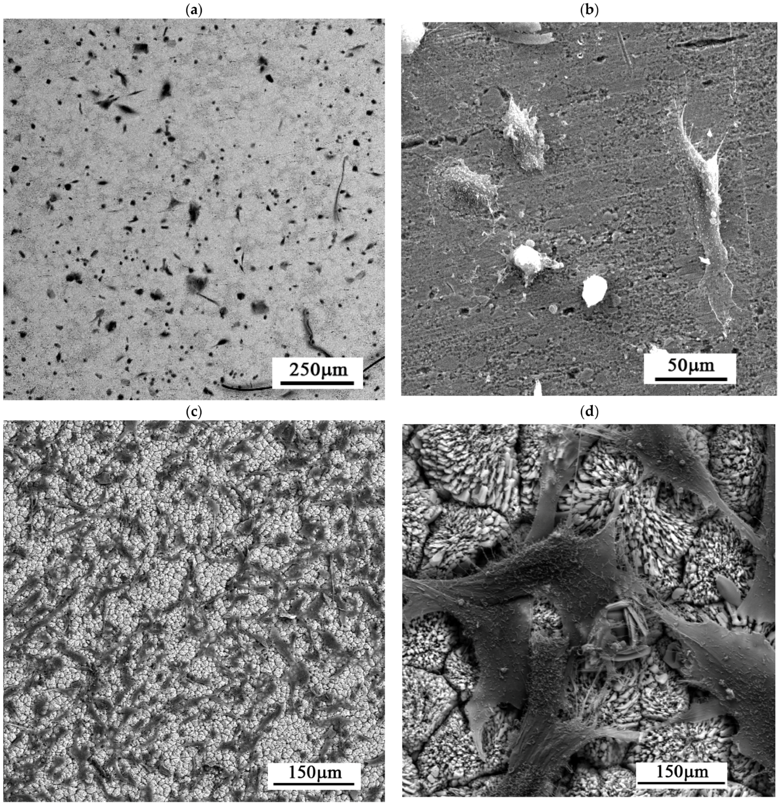 Materials 19 00416 g008a