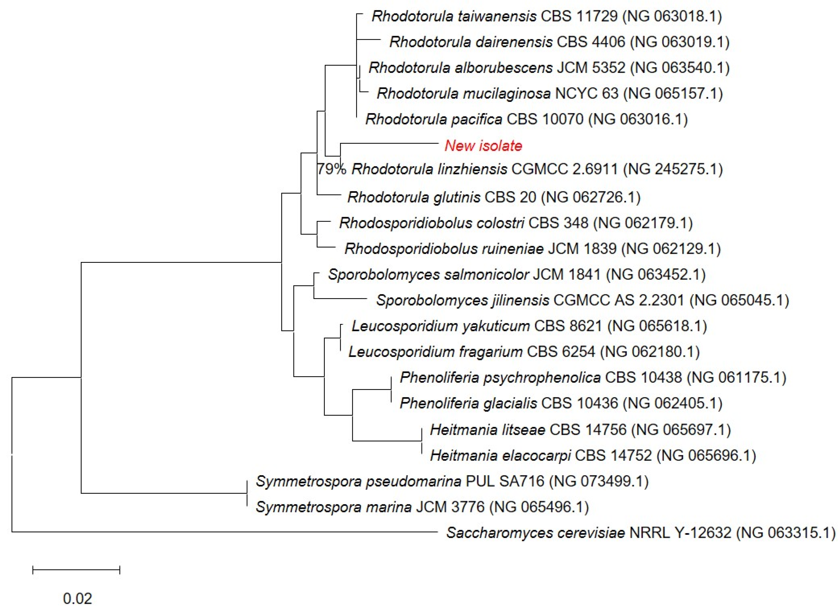 Materials 19 00418 g002