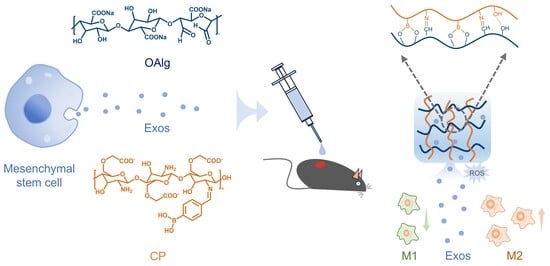 Formation and property of the dual dynamic cross-linked CPOA hydrogel. (a) 1H NMR spectra of Alg and OAlg; (b) FT-IR spectra of Alg and OAlg; (c) FT-IR spectra of CMCS and CP; (d) 1H NMR spectra of CMCS, CP1, CP2, CP3 and CP4; (e) The chemical structure and crosslinked structures of OAlg and CP; (f) FT-IR spectra of COA and CP2OA; (g) Spontaneous gelation of CP3 and hydrogel formation process of CP2OA; (h) Time sweep test (frequency = 1 Hz, strain = 1%) of CMCS, CP1, CP2, CP3 and CP4; (i) Gelation time of COA, CP1OA and CP2OA.