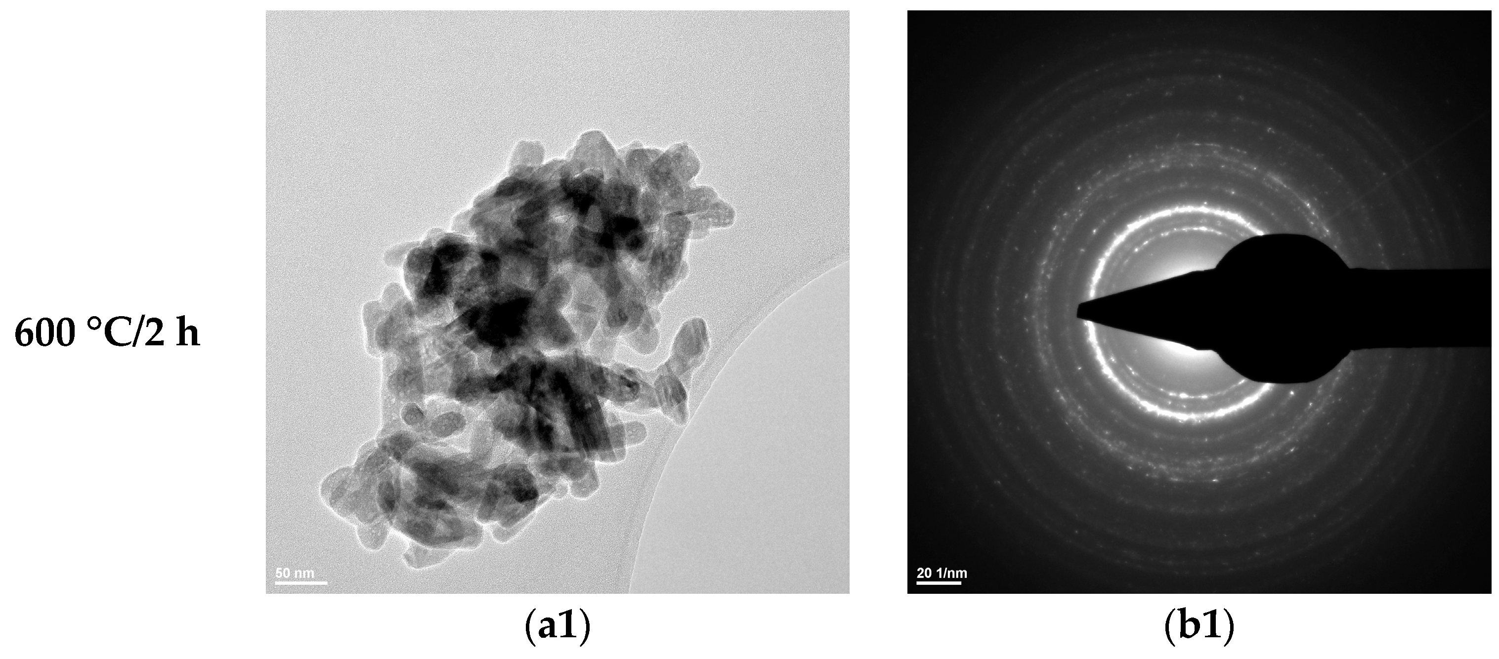 Materials 19 00467 g007a Materials 19 00467 g007a