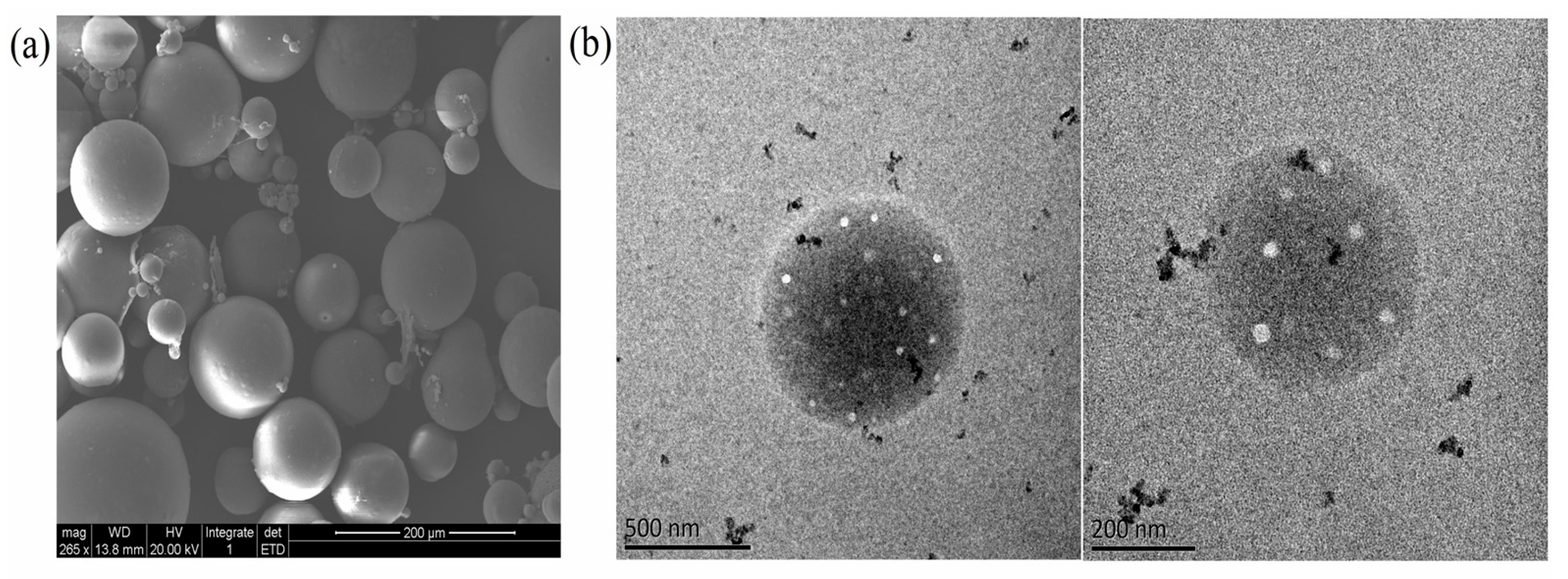 Materials 19 00492 g004