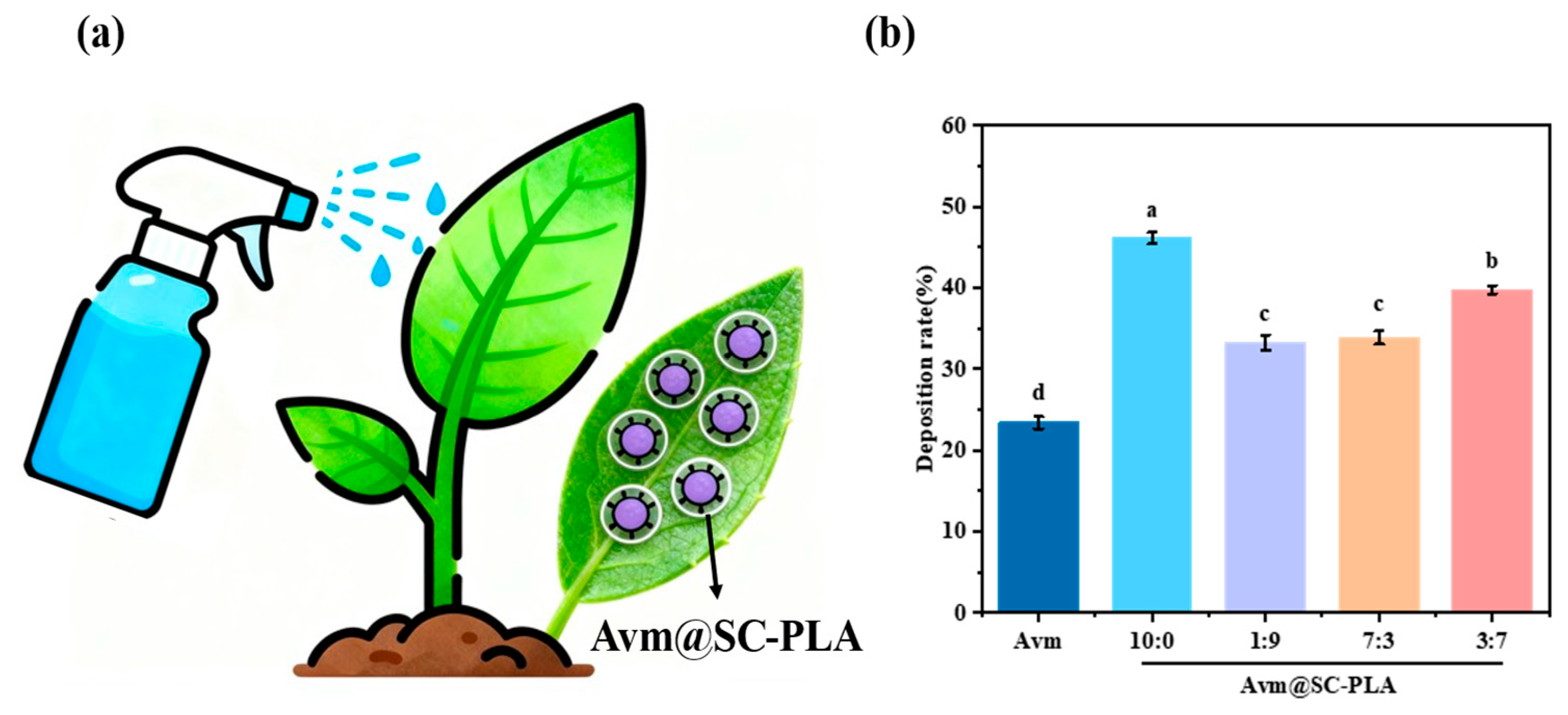 Materials 19 00492 g006
