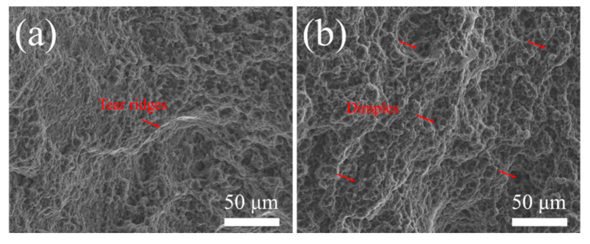 Materials 19 00507 g012