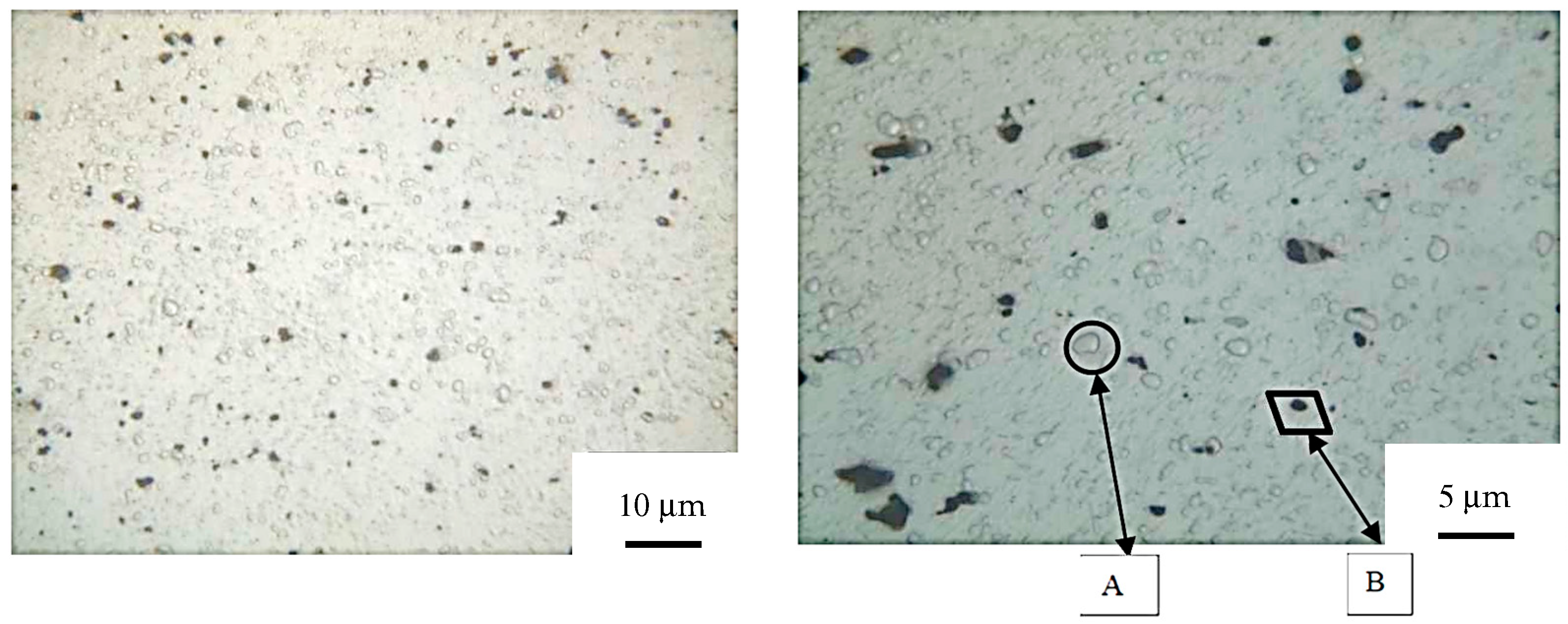 Materials 19 00548 g003 Materials 19 00548 g003