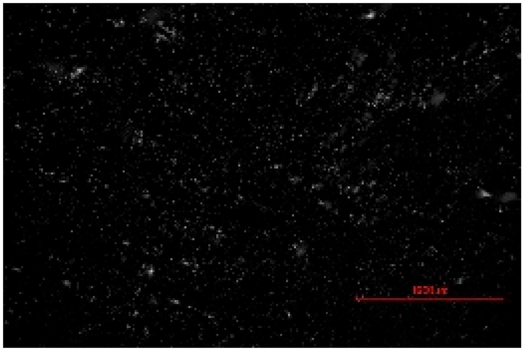Materials 19 00549 i001 Materials 19 00549 i001