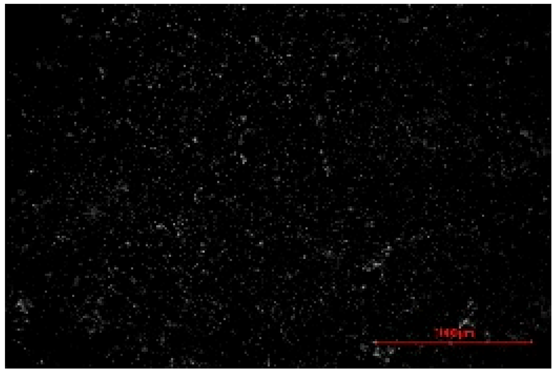 Materials 19 00549 i002 Materials 19 00549 i002