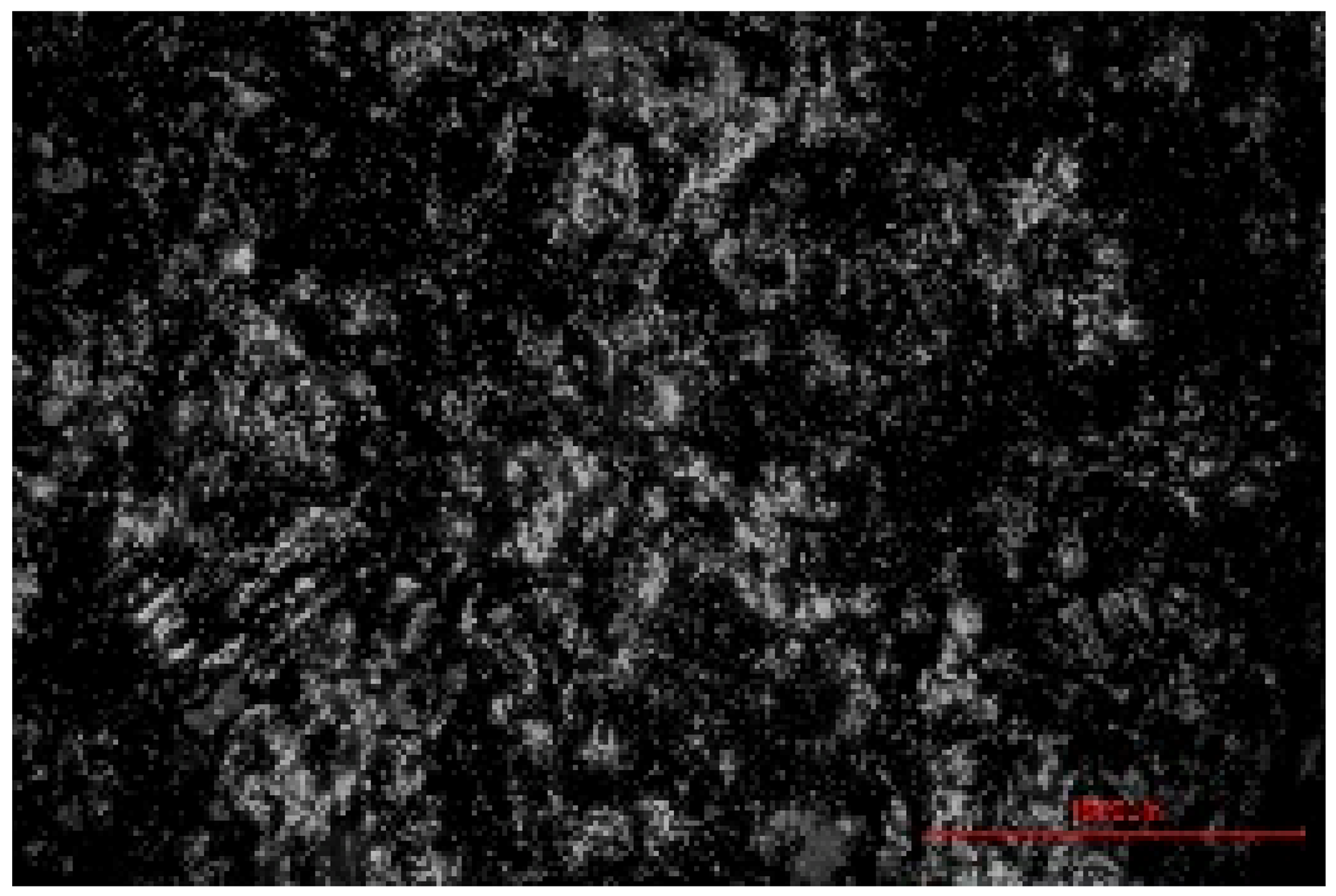 Materials 19 00549 i007 Materials 19 00549 i007