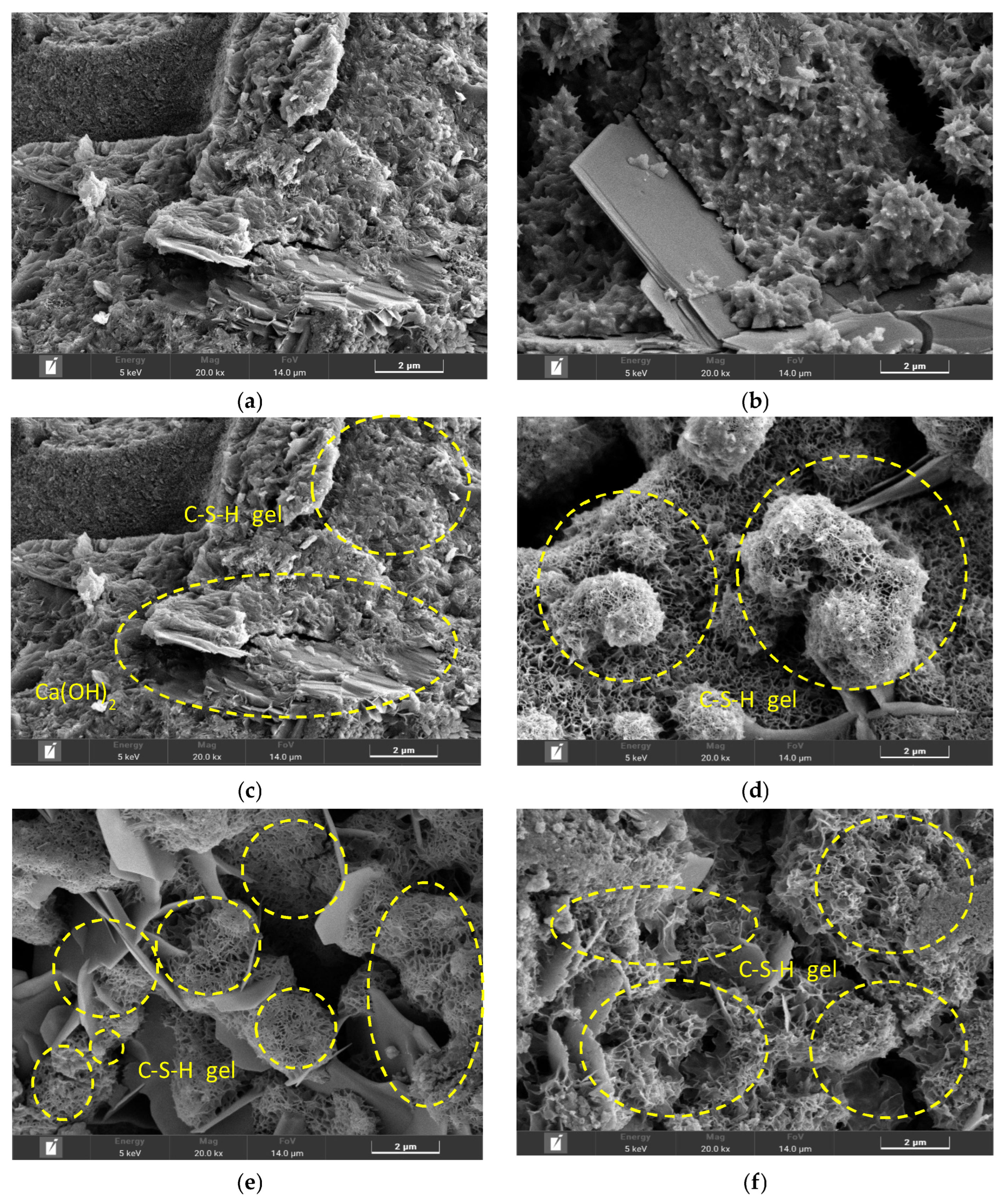 Materials 19 00577 g001 Materials 19 00577 g001