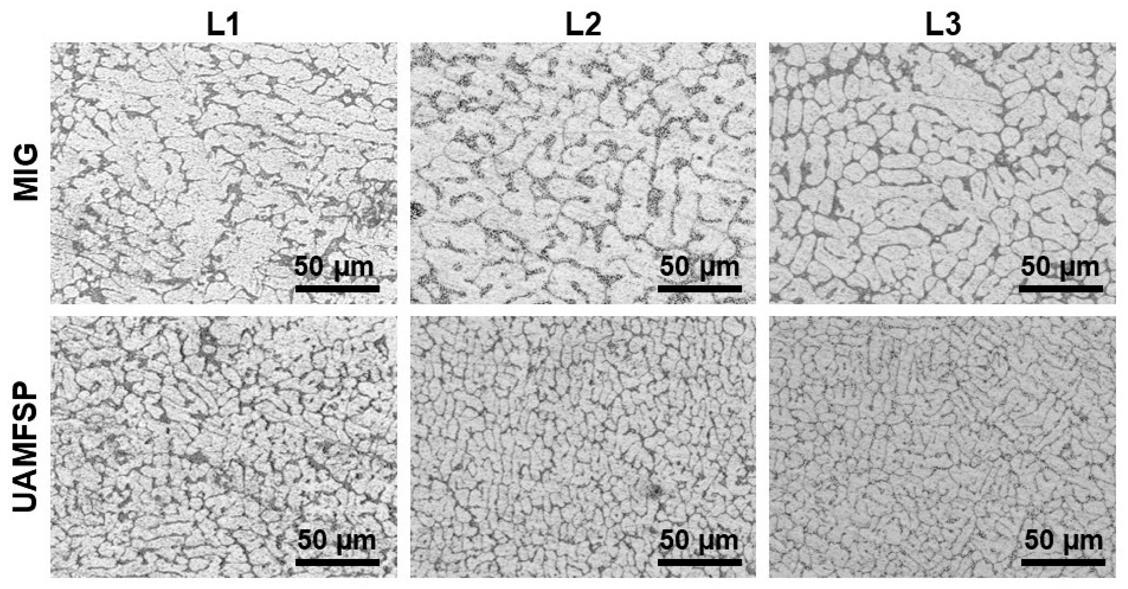 Materials 19 00580 g003