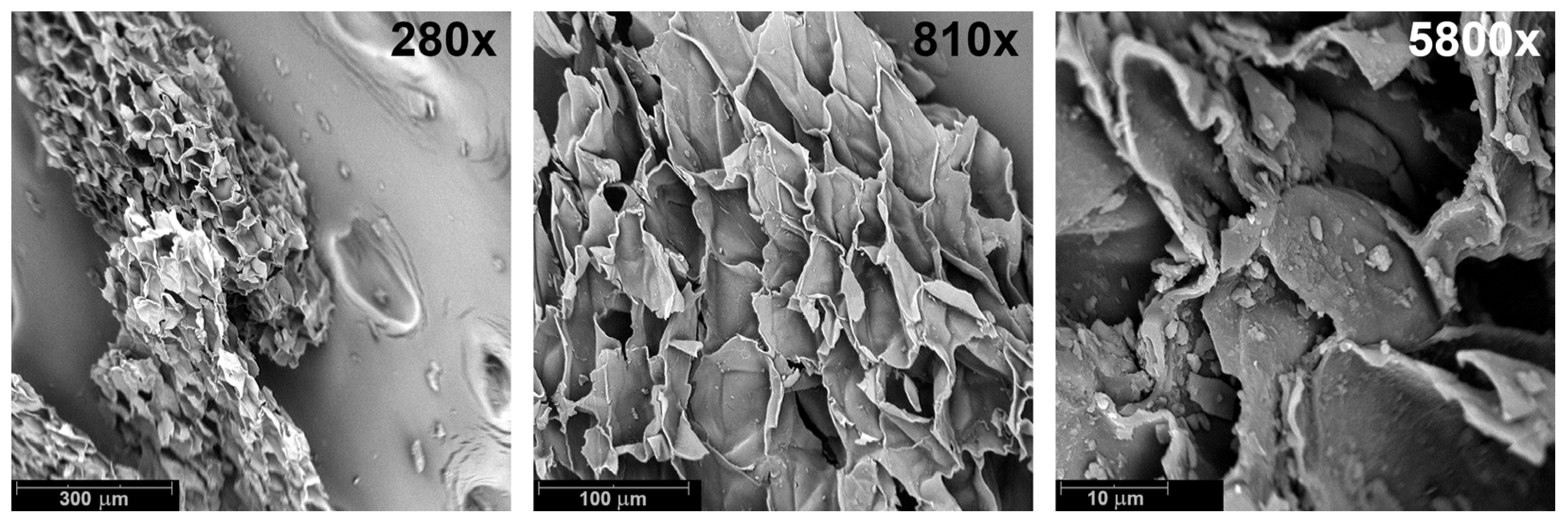 Materials 19 00630 g001 Materials 19 00630 g001