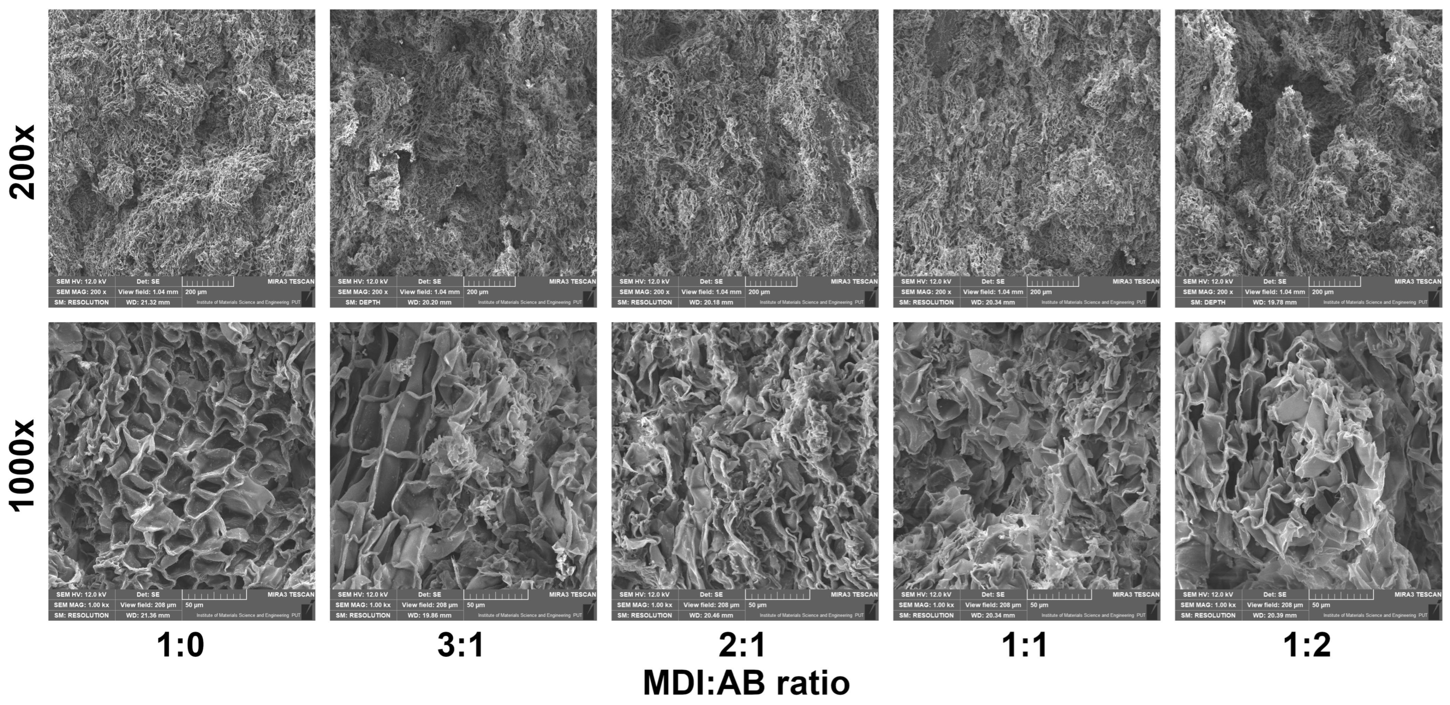 Materials 19 00630 g012 Materials 19 00630 g012