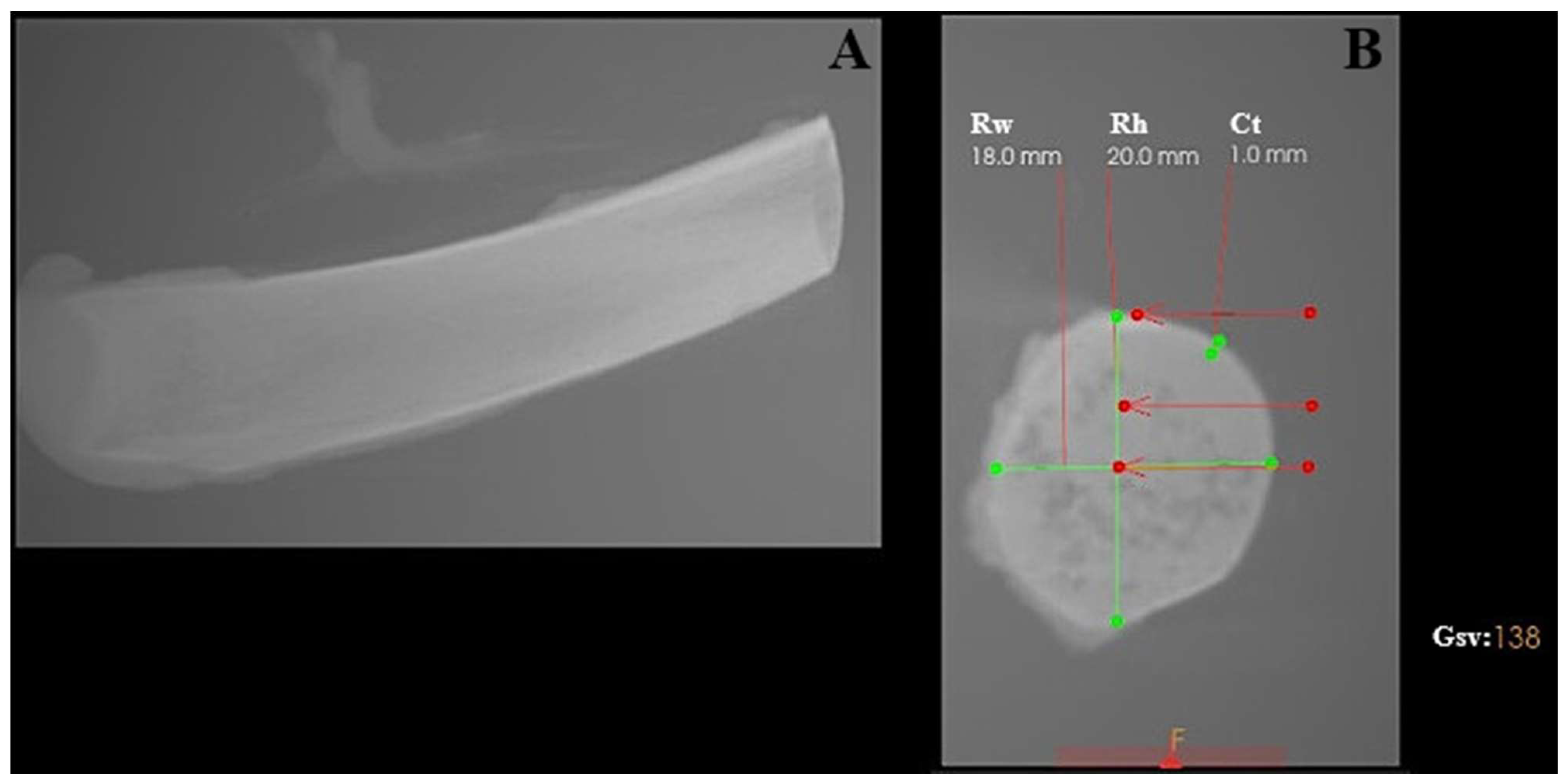 Materials 19 00669 g001