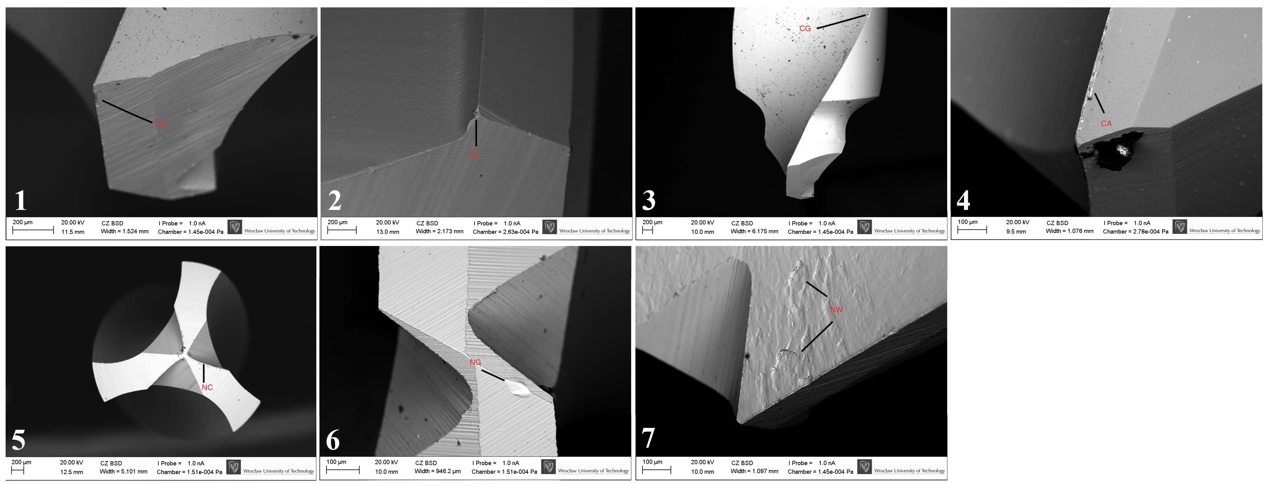 Materials 19 00669 g002
