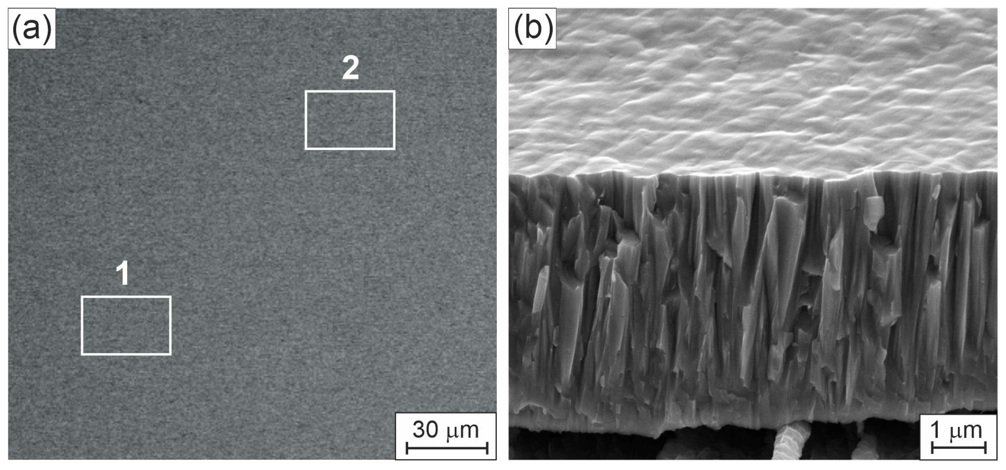 Materials 19 00675 g001 Materials 19 00675 g001