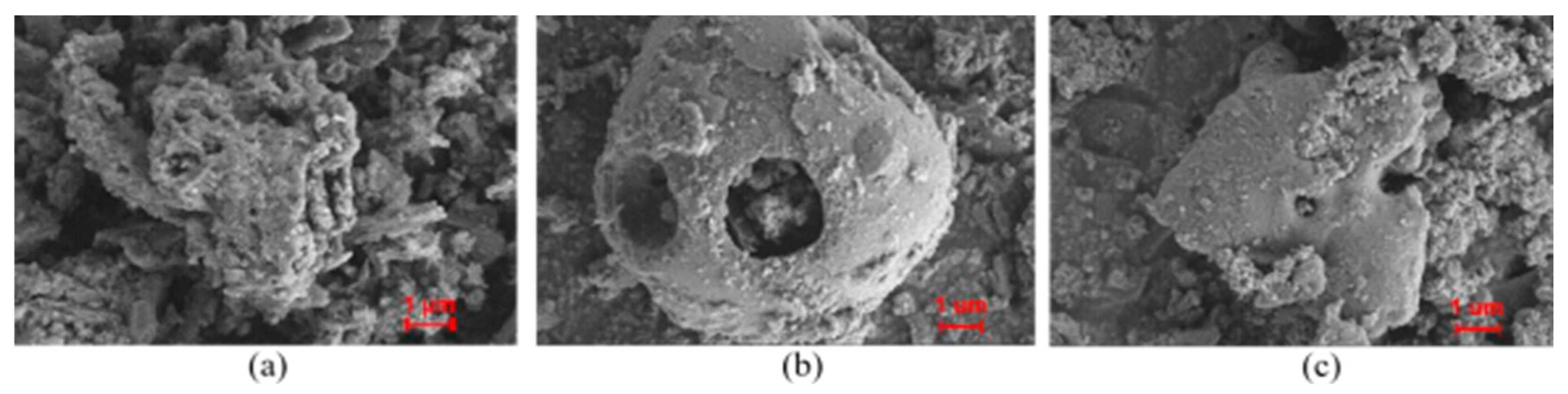 Materials 19 00706 g010