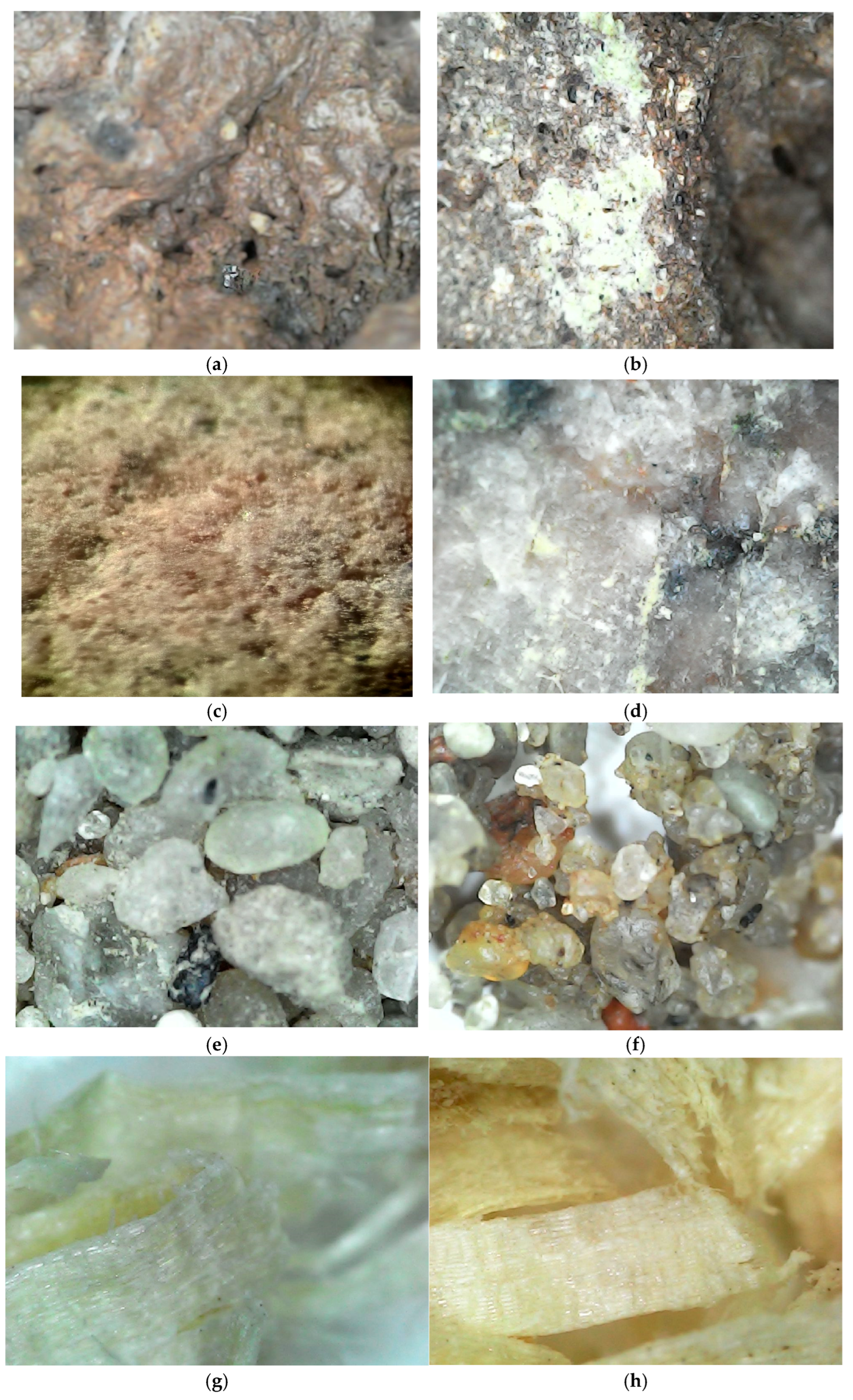 Materials 19 00720 g004 Materials 19 00720 g004